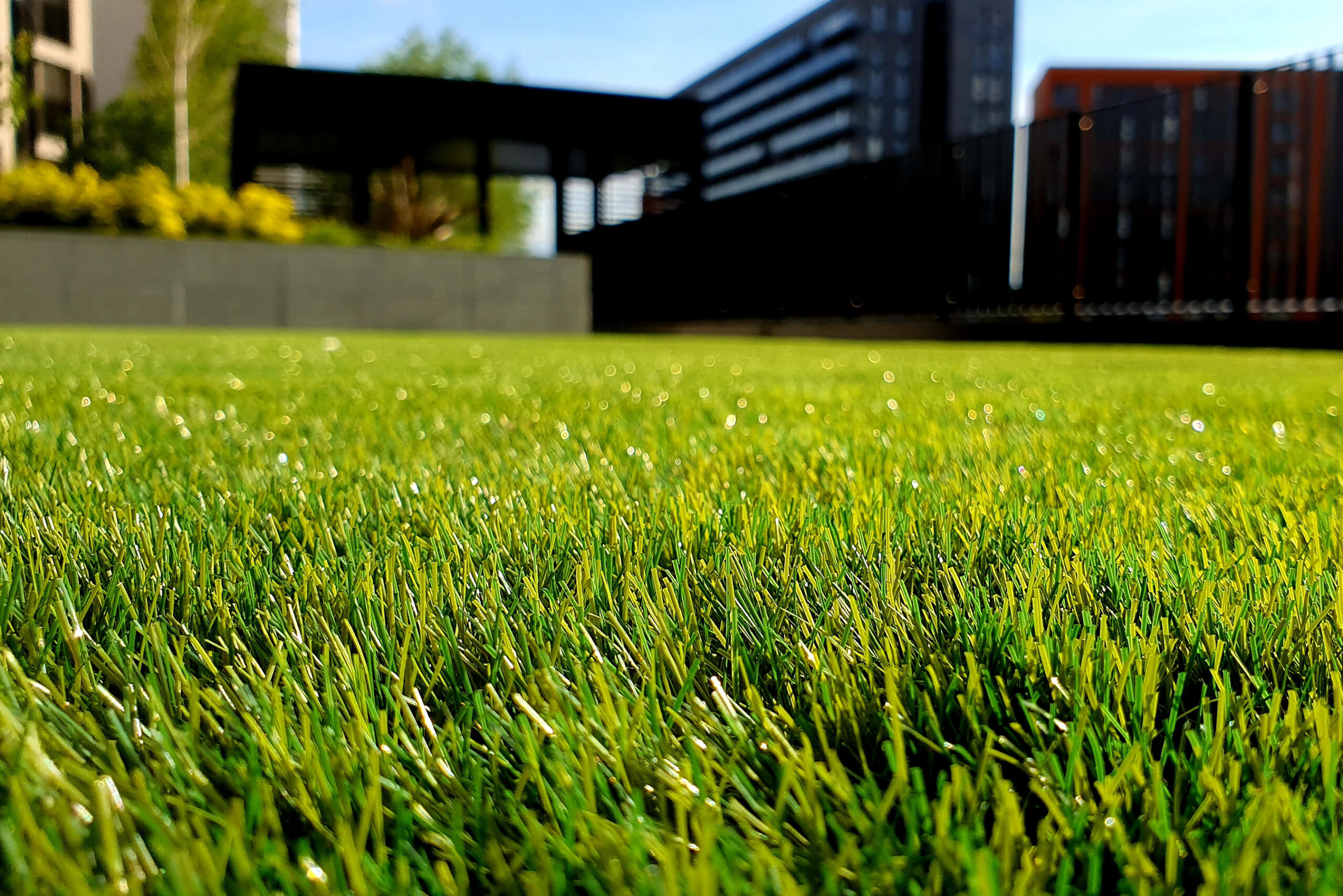 Well Maintained Lawn